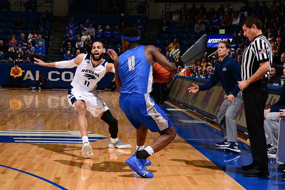 MK体育 · 综合港域（资料示意）
